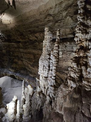Natural Bridge Caverns by null