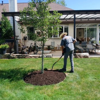 Landlord - Mulch - Tree Services Near Me - Parma Heights, Ohio Landlord - Mulch - Tree Services Near Me - Parma Heights, Ohio