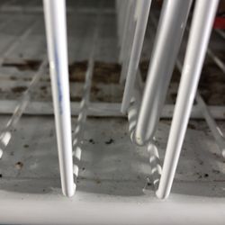 Dollar Tree - The fridges have mold growing