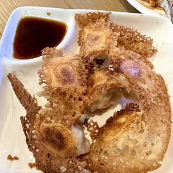 Shanghai Dumpling House - Chinese Near Me - Tampa, Florida