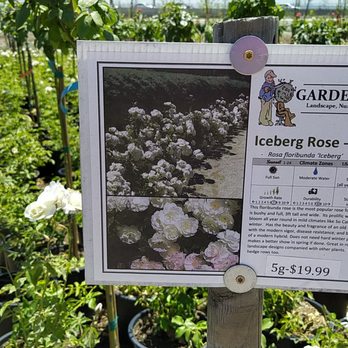 Garden View Nursery - Nurseries & Gardening Near Me - Irwindale, California