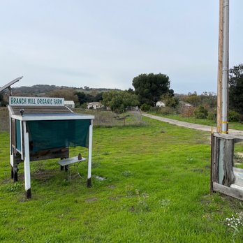 Branch Mill Organic Farm - Farm Stand - Farms Near Me - Arroyo Grande, California Branch Mill Organic Farm - Farm Stand - Farms Near Me - Arroyo Grande, California