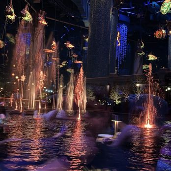 Atlantic - Water show at 9pm outside window. - Seafood Near Me - Orlando, Florida Atlantic - Water show at 9pm outside window. - Seafood Near Me - Orlando, Florida