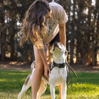 Mayhem Canine - Pet Training Near Me Mayhem Canine - Pet Training Near Me