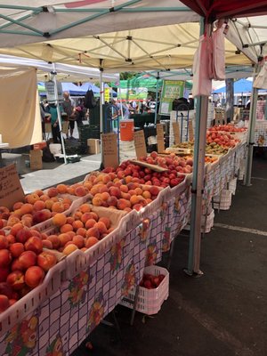 Temescal Farmer's Market by null