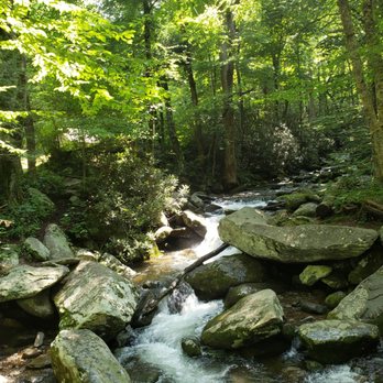 Roaring Fork Motor Nature Trail - Hiking Near Me