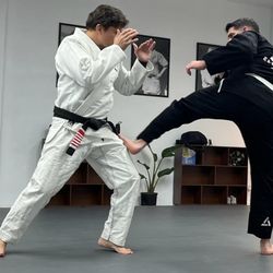 Essence BJJ Danville