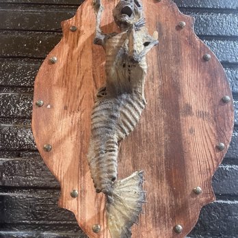 Naked Als Tattoo - Interior decor - Tattoo Near Me - Bakersfield, California Naked Als Tattoo - Interior decor - Tattoo Near Me - Bakersfield, California