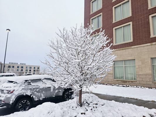 Drury Inn & Suites Colorado Springs Near The Air Force Academy by null
