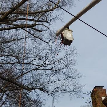Sosa Tree Service - Tree Services Near Me Sosa Tree Service - Tree Services Near Me
