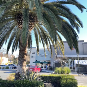 Starbucks - Coffee & Tea Near Me - San Jose, California
