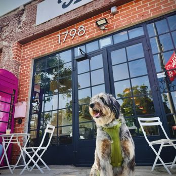 Alibi Coffee - This is Gandalf in front of Alibi Coffee. - Coffee & Tea Near Me - Los Angeles, California Alibi Coffee - This is Gandalf in front of Alibi Coffee. - Coffee & Tea Near Me - Los Angeles, California