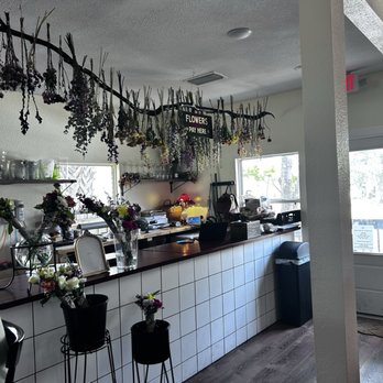Pistil House - Wine Bars Near Me - St. Petersburg, Florida Pistil House - Wine Bars Near Me - St. Petersburg, Florida