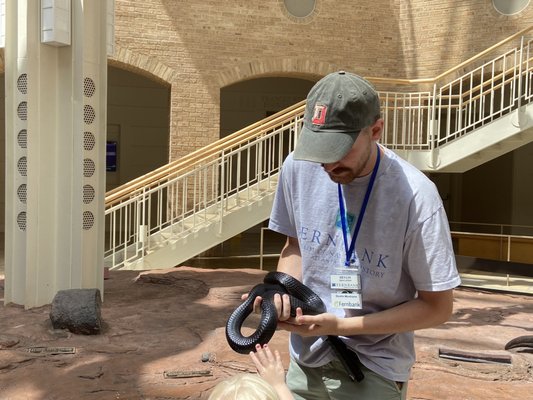Fernbank Museum | 3D Theater | Forest by null