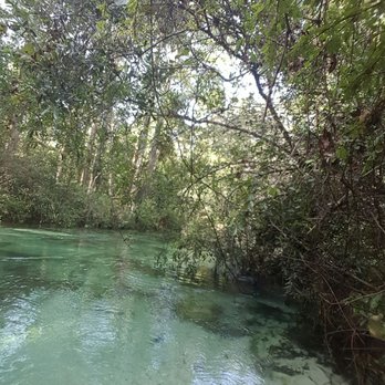 Weeki Fresh Water Adventures - Weeki Wachee Springs on a quiet day in October 2017 - Boating Near Me - Spring Hill, Florida Weeki Fresh Water Adventures - Weeki Wachee Springs on a quiet day in October 2017 - Boating Near Me - Spring Hill, Florida