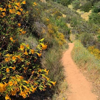 Moore Creek Park - Valentine vista trail - Parks Near Me - Saint Helena, California Moore Creek Park - Valentine vista trail - Parks Near Me - Saint Helena, California