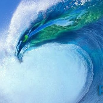 Print Fusion - Printing Services Near Me - Seattle, Washington