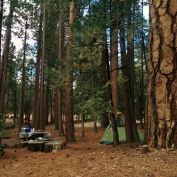 Fern Basin Campground - Nice campground, not so nice mosquitos.
