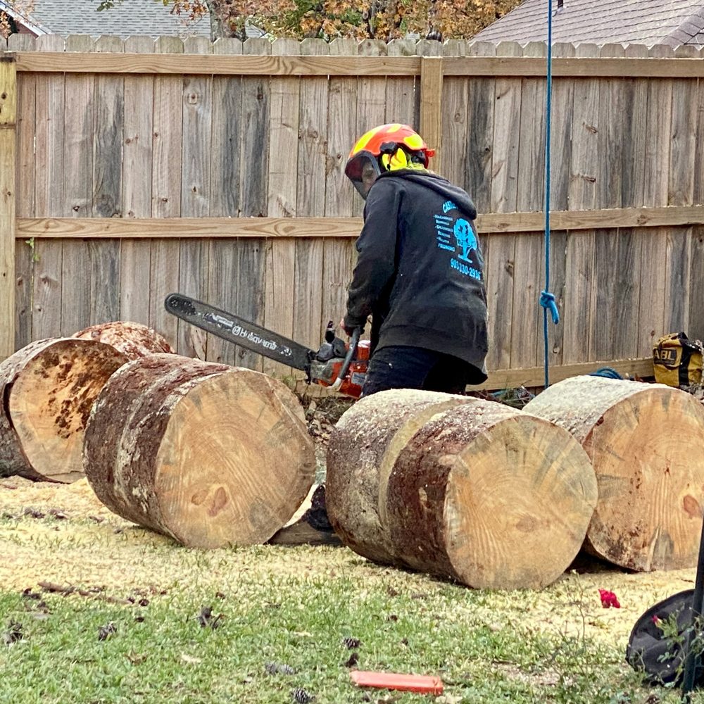Castle's Tree Service - They clean as they work, my yard was left spotless! - Tree Services Near Me - tyler, Texas Castle's Tree Service - They clean as they work, my yard was left spotless! - Tree Services Near Me - tyler, Texas
