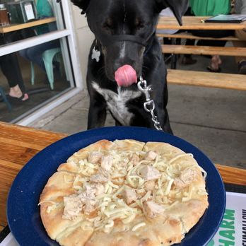 Wasserhund Brewing Company - Pup pie - Pizza Near Me - Chesapeake, Virginia Wasserhund Brewing Company - Pup pie - Pizza Near Me - Chesapeake, Virginia