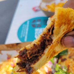 Wontons On Wheels - Oxtail tacos