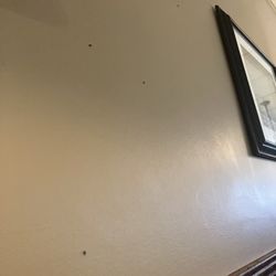 Michelangelo's Pizzeria & Ristorante - Flies