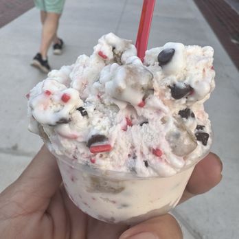 The Gelato Fiasco - Dorothy's Delight - Desserts Near Me - Brunswick, Maine