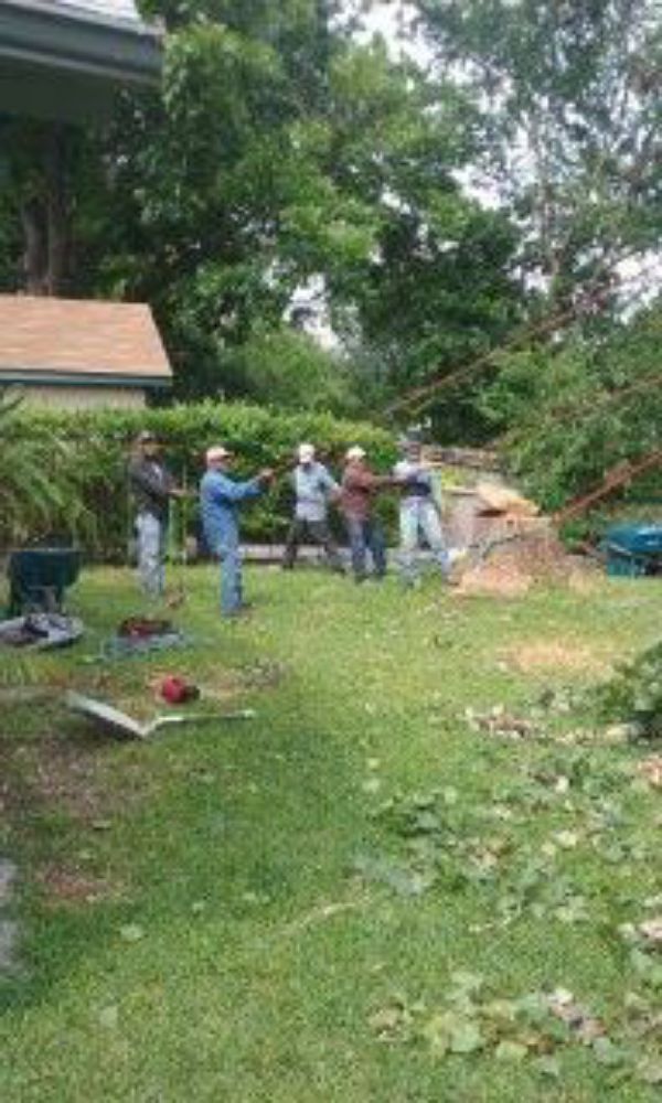 Slide of Flores Tree Service