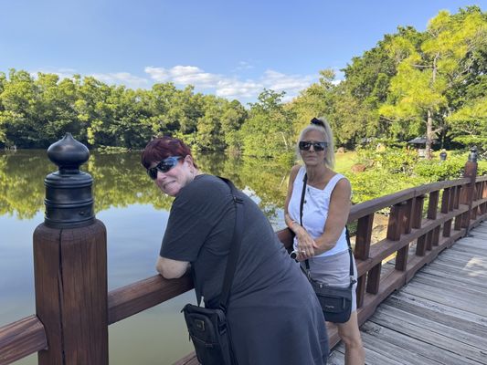 Morikami Museum and Japanese Gardens by null