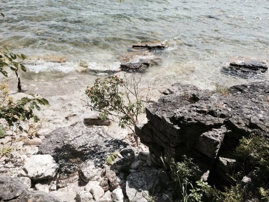 Whitefish Dunes State Park by null