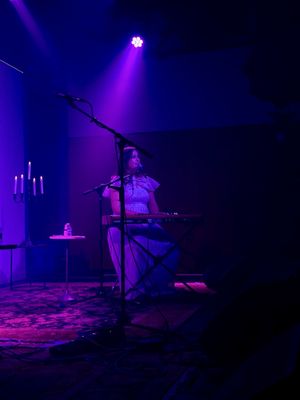 The Blue Room by null