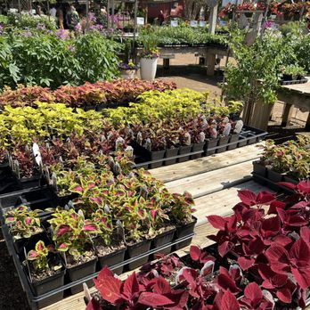 Enchanted Gardens - Nurseries & Gardening Near Me - Richmond, Texas
