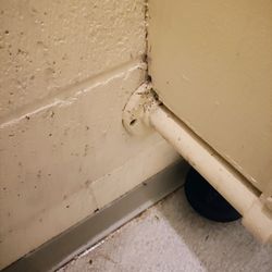 Golden Rule Rv Park - Mold