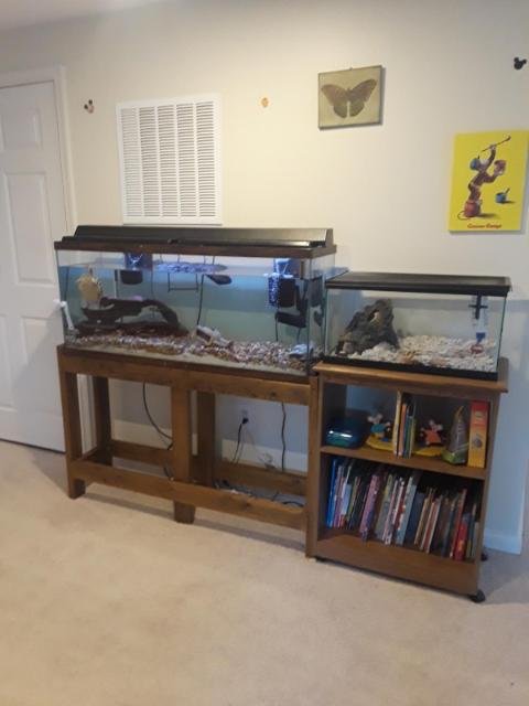 Lil' Feet Daycare - childcare center in Frederick, MD