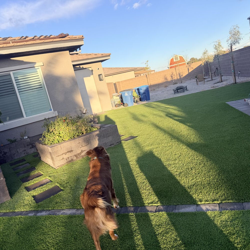 Big Bully Turf - Landscaping Near Me - Henderson, Nevada