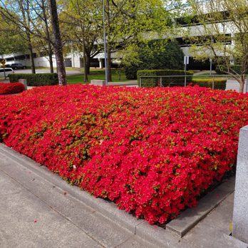 Richmond City Hall - Richmond City Hall - Venues & Event Spaces Near Me - Richmond, British Columbia Richmond City Hall - Richmond City Hall - Venues & Event Spaces Near Me - Richmond, British Columbia