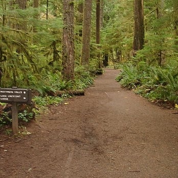 Marymere Falls - Hiking Near Me - Port Angeles, Washington Marymere Falls - Hiking Near Me - Port Angeles, Washington