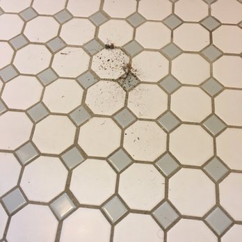 Memorial Cleaning - What I swept up in the bathroom AFTER the clean - Home Cleaning Near Me
