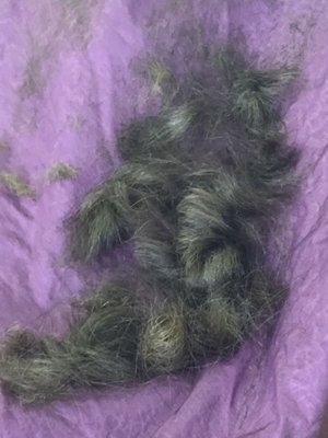 Rudy's Barber Shop by null