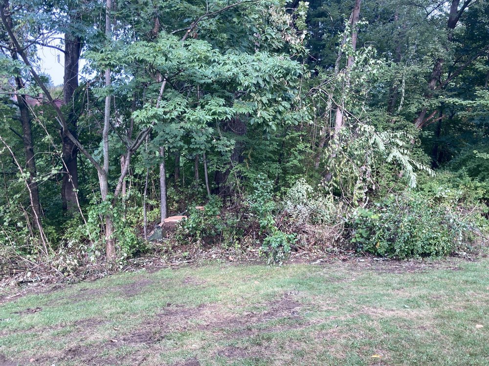 Elliott Tree - tree service in Holden, MA