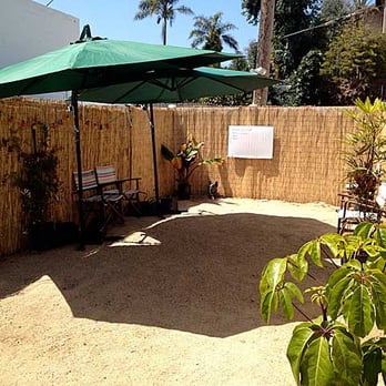 Doggywood - Pet Training Near Me Doggywood - Pet Training Near Me