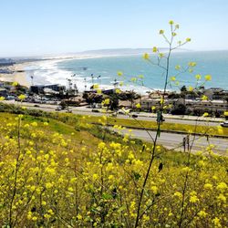 Pismo Preserve
