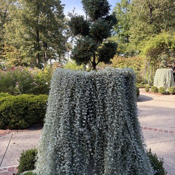 Dixon Gallery & Gardens - Museums Near Me - Memphis, Tennessee Dixon Gallery & Gardens - Museums Near Me - Memphis, Tennessee