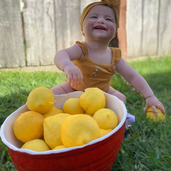 Laura's Barn Child Care Center - Infant daycare
Newborn daycare
bilingual Daycare - Preschools Near Me - Salinas, California Laura's Barn Child Care Center - Infant daycare
Newborn daycare
bilingual Daycare - Preschools Near Me - Salinas, California