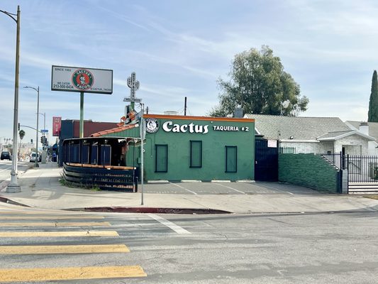 Cactus Taquerias #2 by null