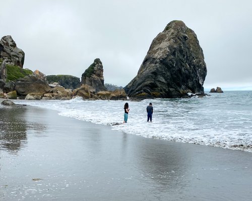 Harris Beach by null
