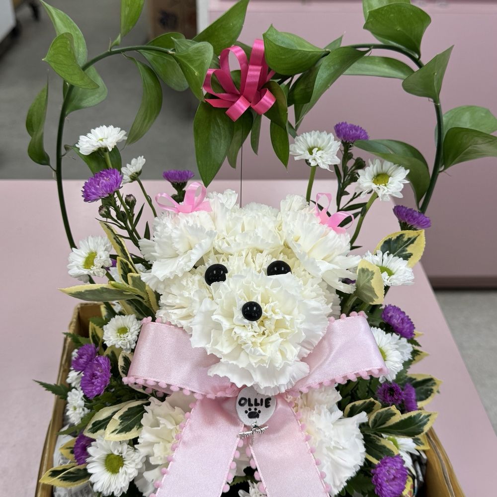 Dog arrangement