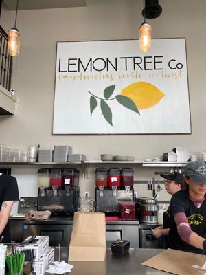 Lemon Tree Co. Downtown-Boise by null