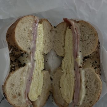 Bagel Babe - Bagels Near Me - St. Petersburg, Florida Bagel Babe - Bagels Near Me - St. Petersburg, Florida