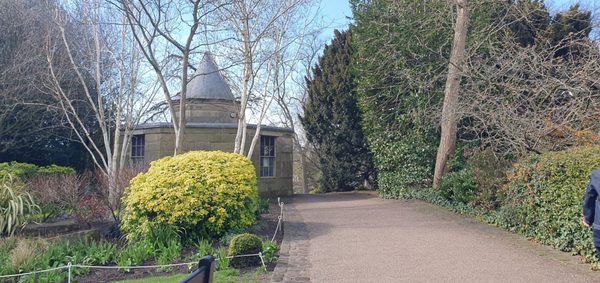 Museum Gardens by null